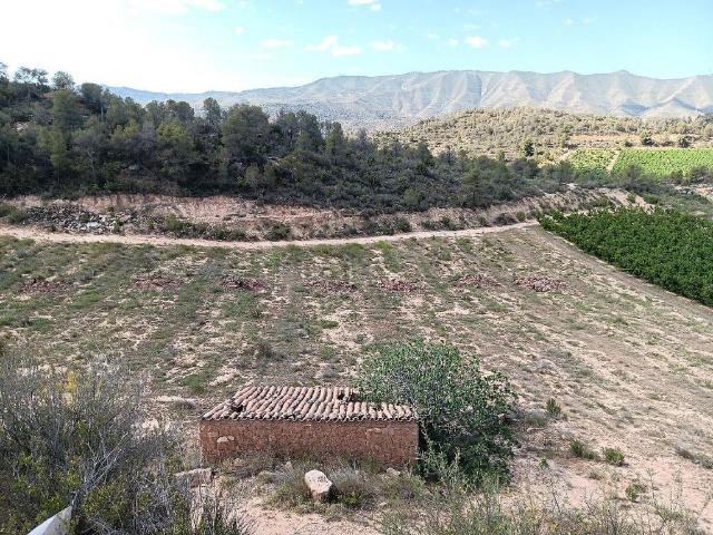 Terreno en venta en Ribera d'Ebre, Catalunya