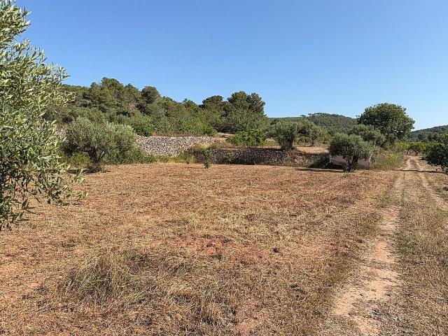 Terreno en venta en Tarragonès, Catalunya
