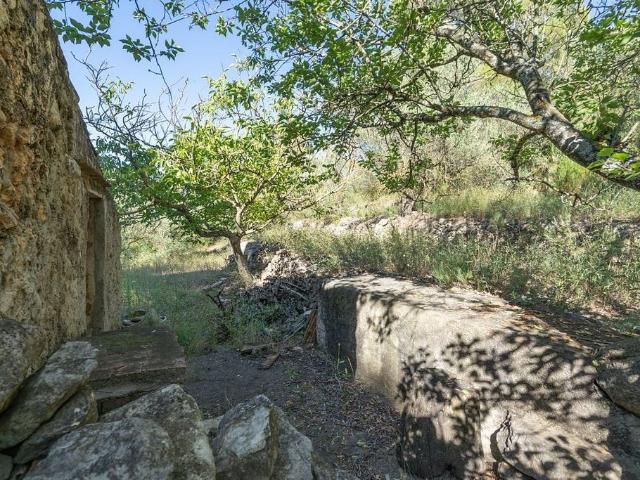 Terreno en venta en Montsià, Catalunya