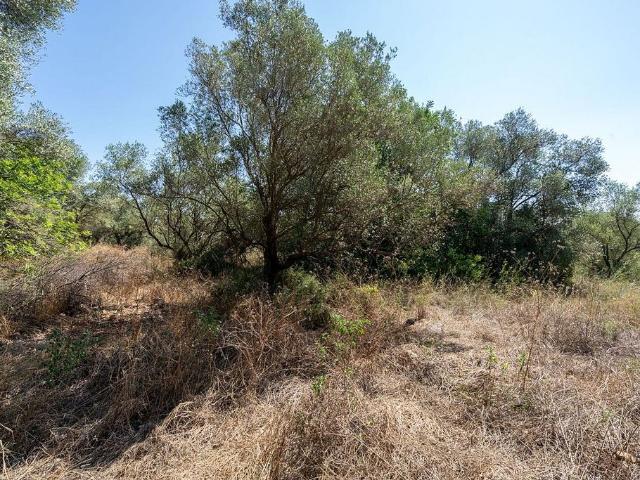 Terreno en venta en Montsià, Catalunya