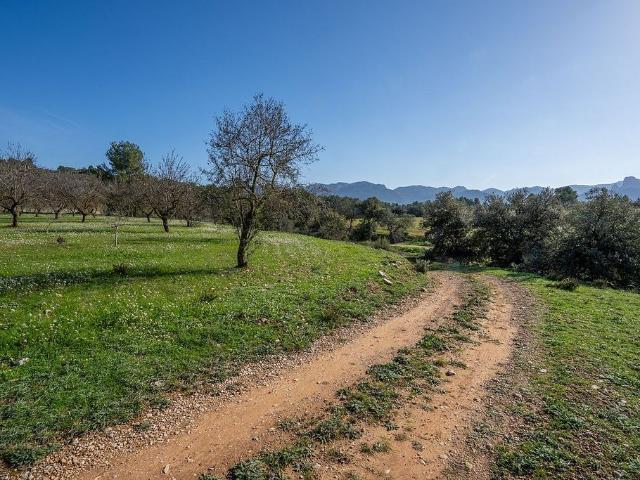 Terreno en venta en Terra Alta, Catalunya