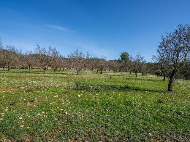 Terreno en venta en Terra Alta, Catalunya