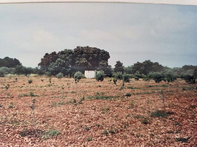 Terreno en venta en Alt Camp, Catalunya