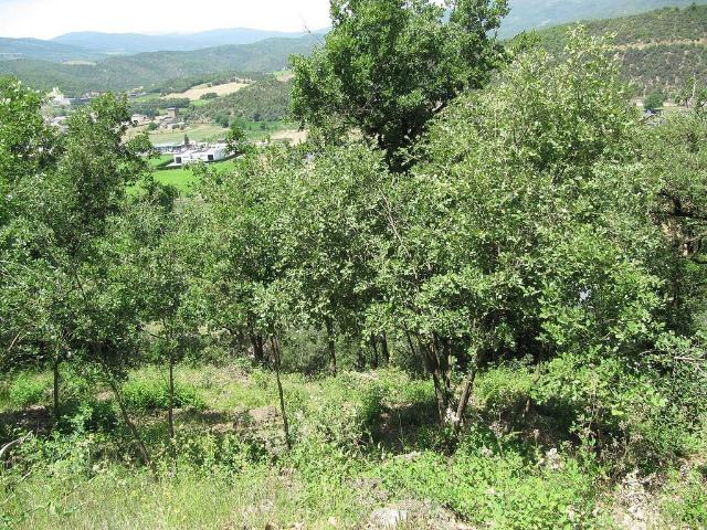 Terreno en venta en Montferrer, Alt Urgell