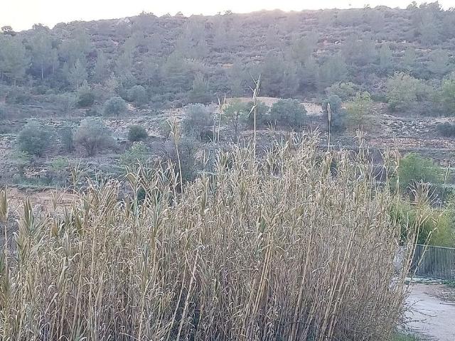 Terreno en venta en Anoia, Catalunya