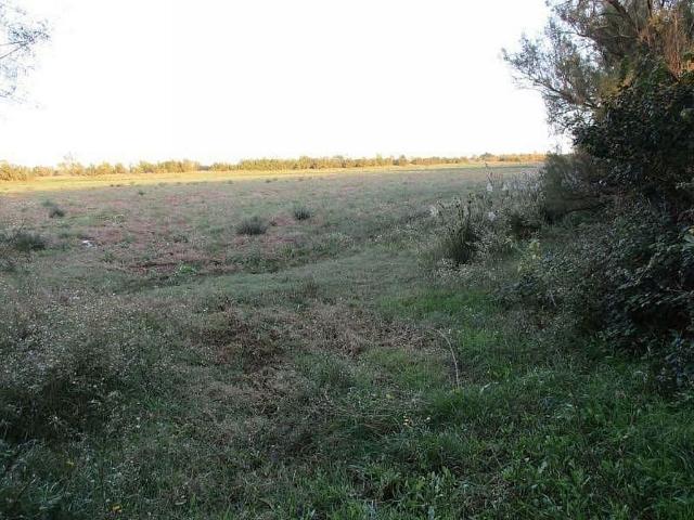 Terreno en venta en Alt Empordà, Catalunya