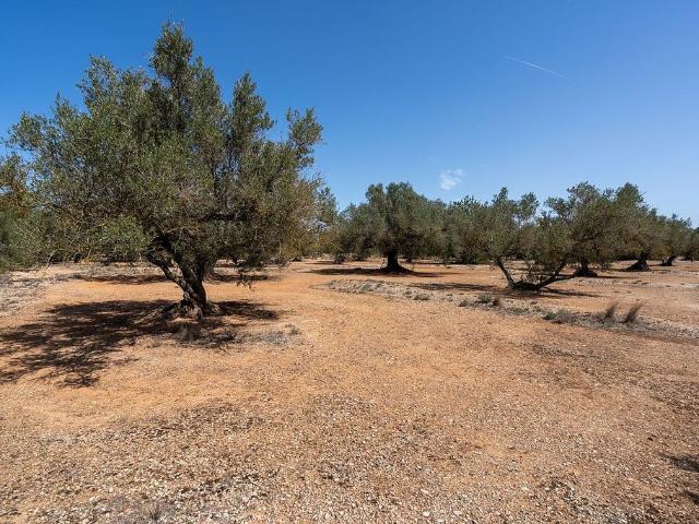 Terreno en venta en Montsià, Catalunya