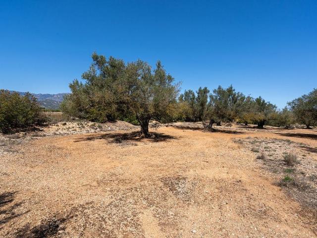 Terreno en venta en Montsià, Catalunya