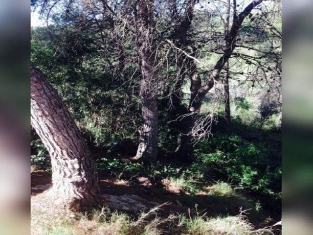 Terreno en venta en Baix Penedès, Catalunya