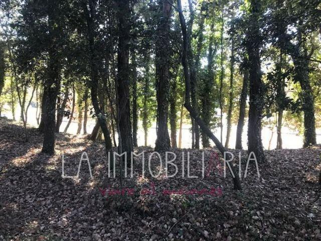 Terreno en venta en Moianès, Catalunya