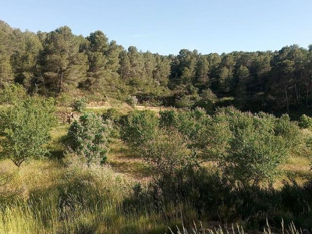 Terreno en venta en Batea
