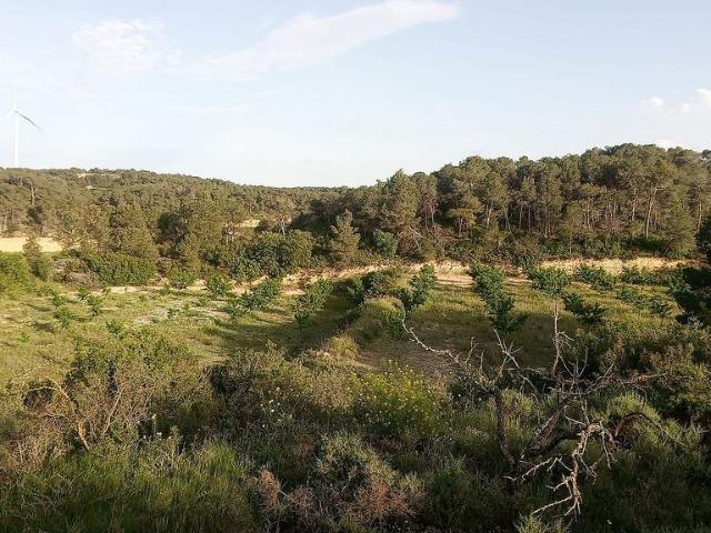 Terreno en venta en Batea