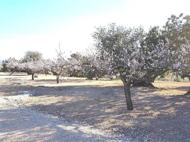 Terreno en venta en Jesús, Baix Ebre