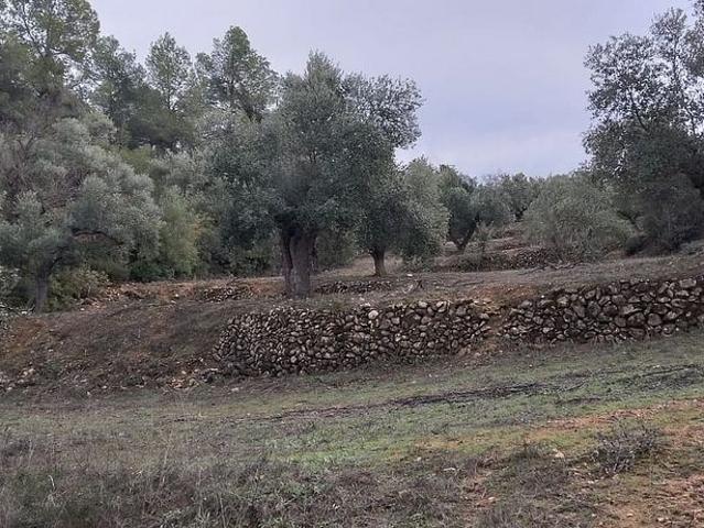 Terreno en venta en Priorat, Catalunya