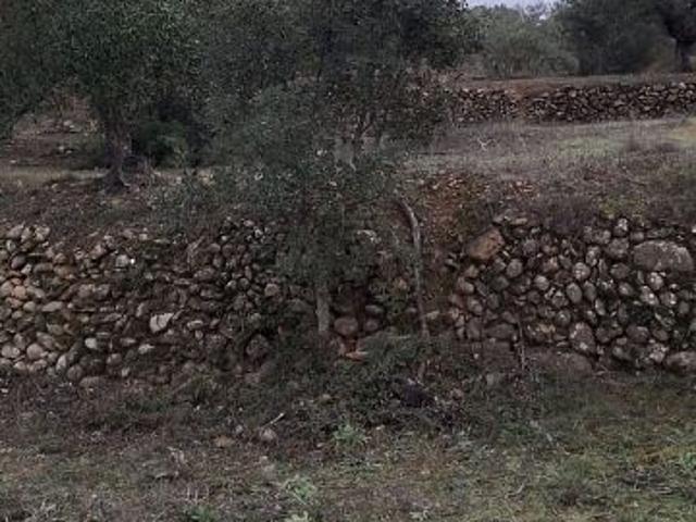 Terreno en venta en Priorat, Catalunya