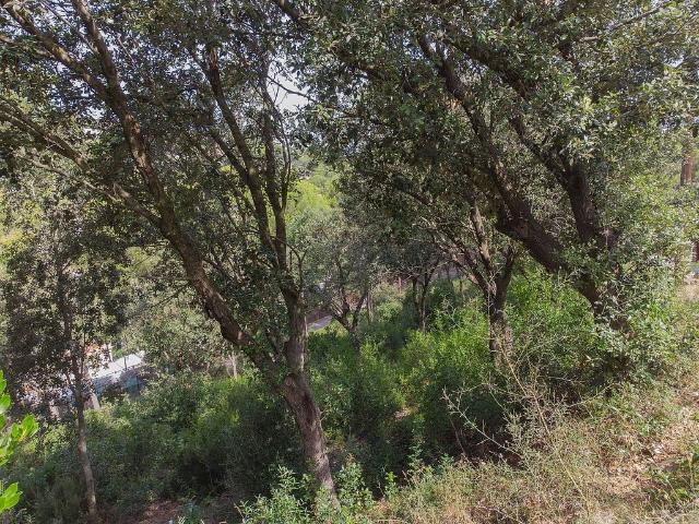 Terreno en venta en sa Riera, Baix Empordà