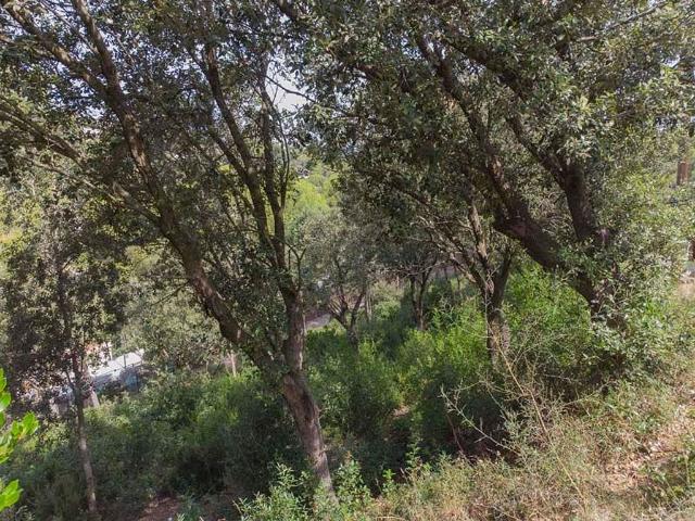 Terreno en venta en sa Riera, Baix Empordà