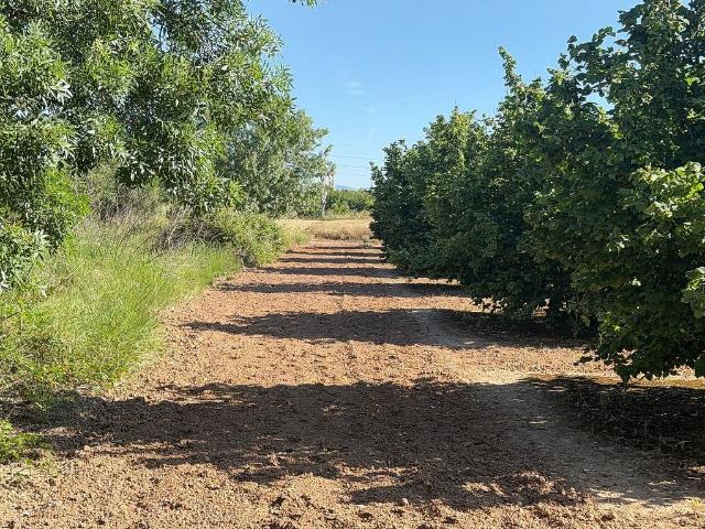 Terreno en venta en Tarragonès, Catalunya