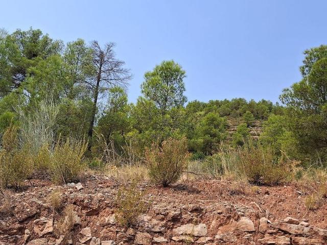 Terreno en venta en Priorat, Catalunya