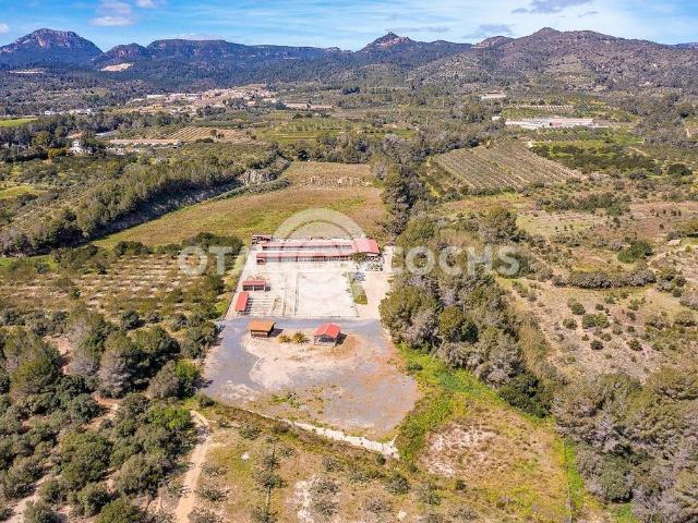 Terreno en venta en Baix Camp, Catalunya
