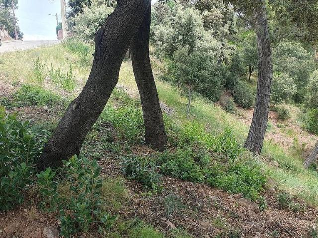 Terreno en venta en la Figuerola, Bages