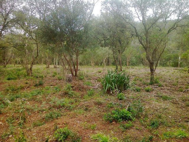 Terreno en venta en Vallès Oriental, Catalunya