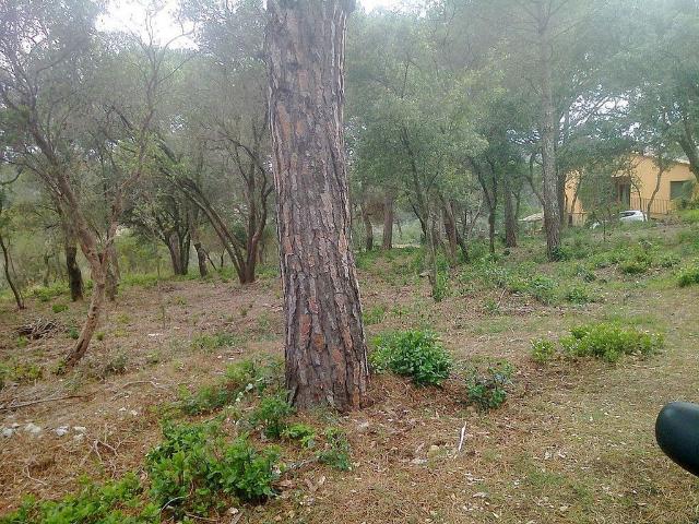 Terreno en venta en Campins, Barcelona