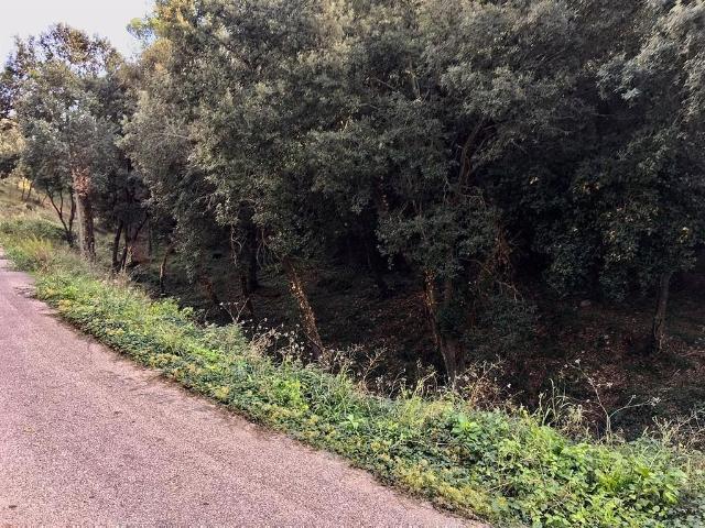 Terreno en venta en Sant Andreu, Barcelonès