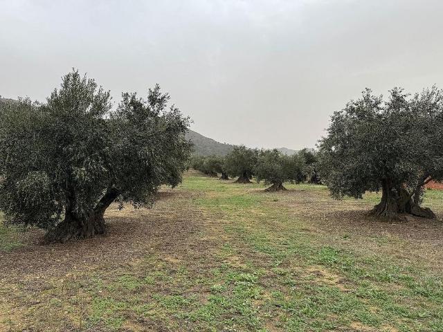 Terreno en venta en Alt Empordà, Catalunya