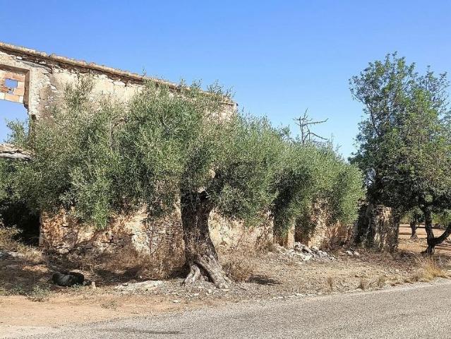 Terreno en venta en Amposta, Tarragona