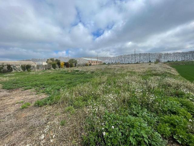 Terreno en venta en Mollerussa