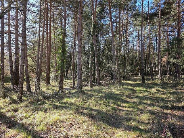 Terreno en venta en Solsonès, Catalunya