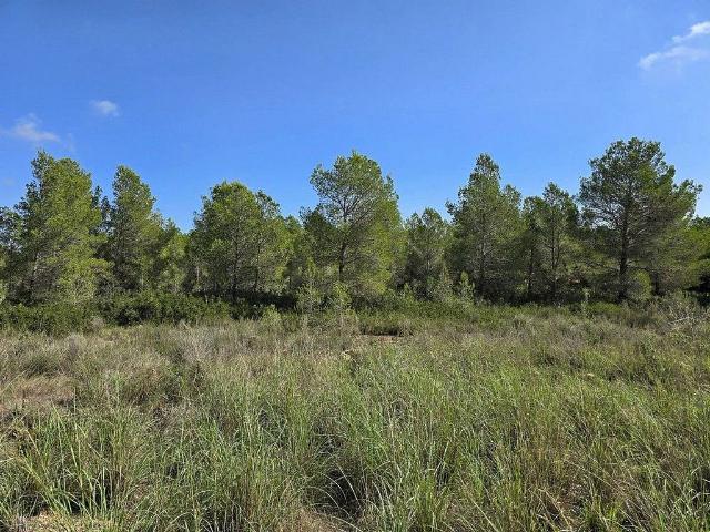 Terreno en venta en Sant Jordi d'Alfama, Baix Ebre