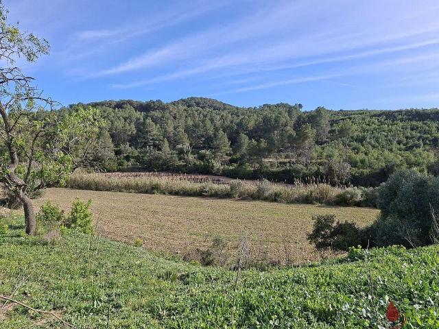 Terreno en venta en Baix Penedès, Catalunya