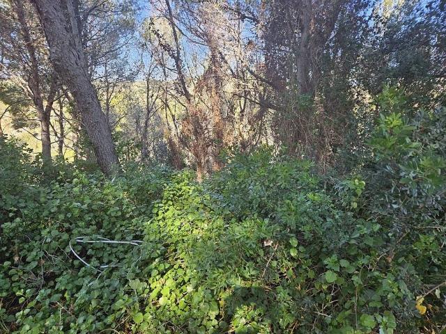 Terreno en venta en Costa-Cunit-Castellet Sector Trencarroques, Alt Penedès