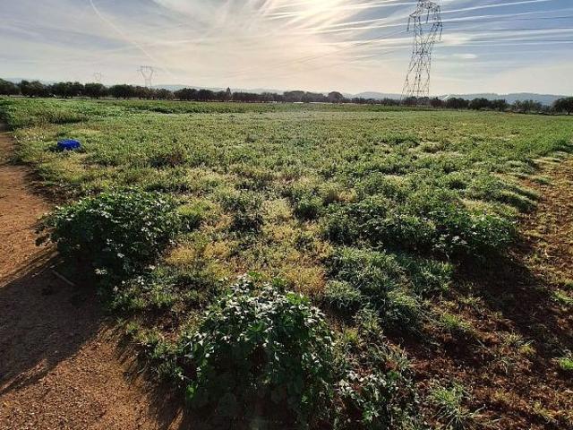 Terreno en venta en Santa Oliva