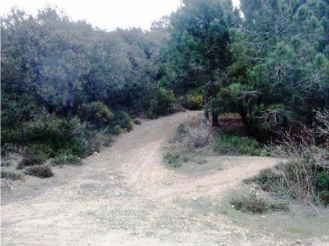 Terreno en venta en Figuerola Del Camp