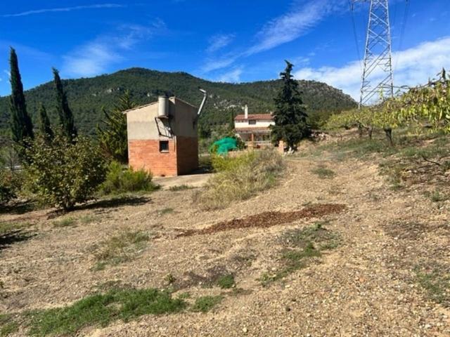 Terreno en venta en Cabra Del Camp