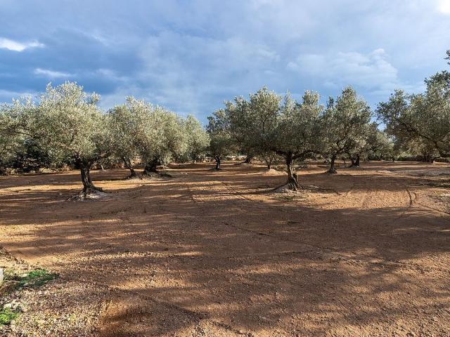 Terreno en venta en Aldover, Tarragona