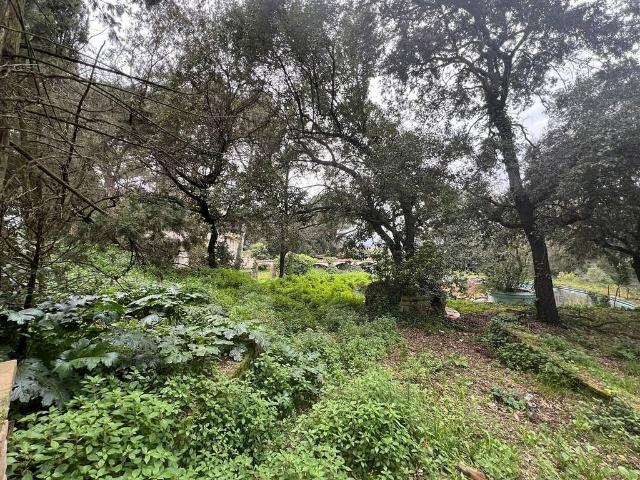 Terreno en venta en Can Bosquerons, Vallès Oriental