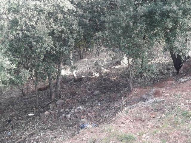Terreno en venta en els Rourets, Matadepera