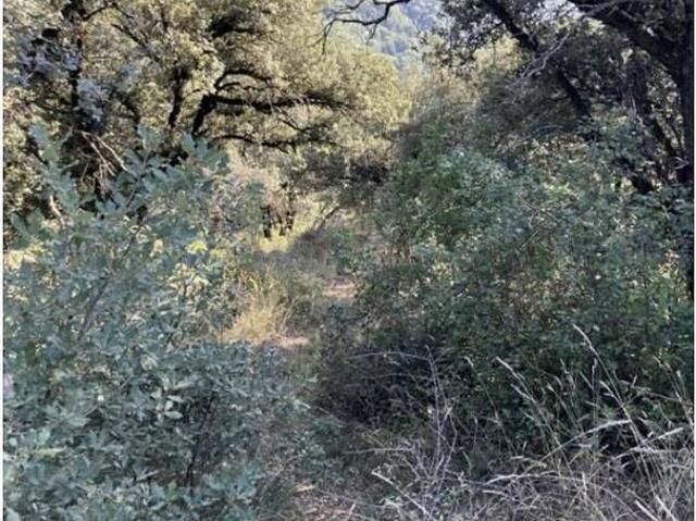 Terreno en venta en Castellciutat, Alt Urgell