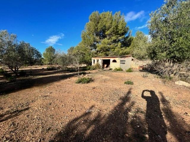 Terreno en venta en Alt Camp, Catalunya