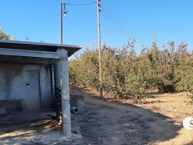 Terreno en venta en La Selva Del Camp, Tarragona