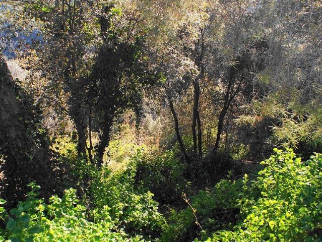Terreno en venta en Vallès Oriental, Catalunya