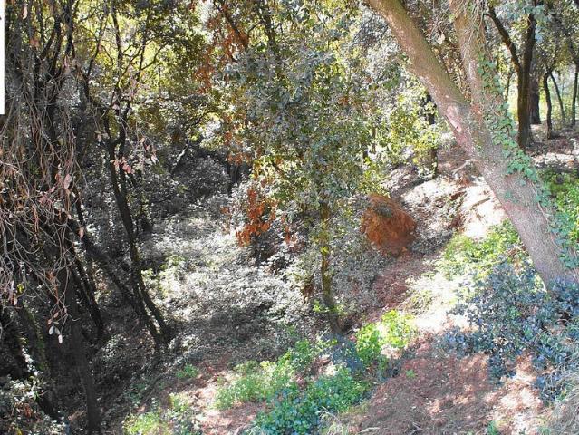 Terreno en venta en Vallès Oriental, Catalunya