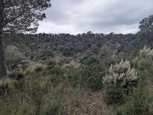 Terreno en venta en Alt Empordà, Catalunya