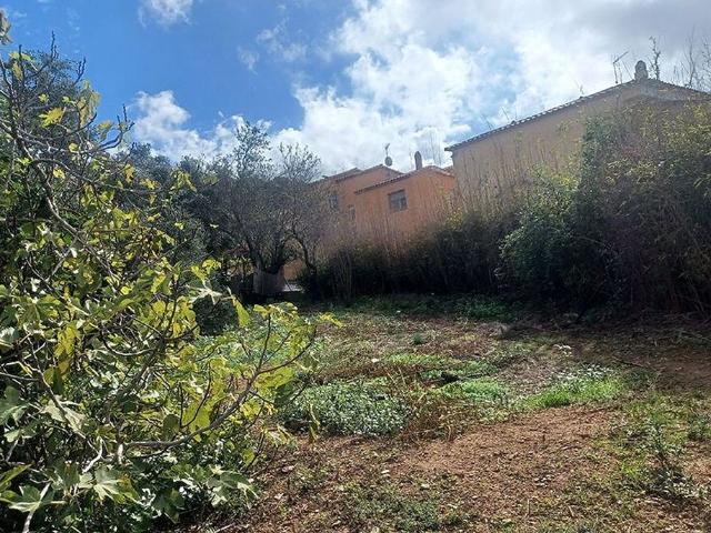 Terreno en venta en Mas Tomasi, Baix Empordà