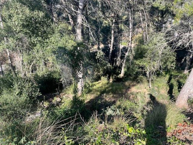 Terreno en venta en la Muntanyeta, Vallès Occidental