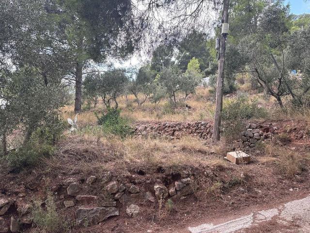 Terreno en venta en Baix Camp, Catalunya